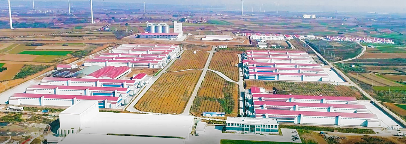 洛陽大統生技新廠籌建中~預計2018年12月試營運