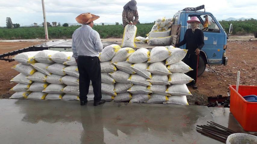 泰國大統建廠進度及肥料生產近況更新囉!